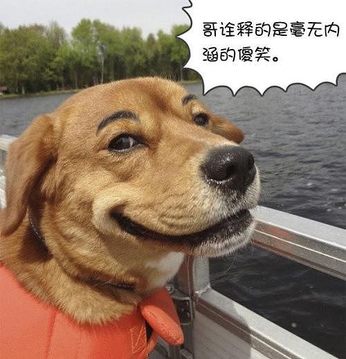 喜欢搞笑的杨飞