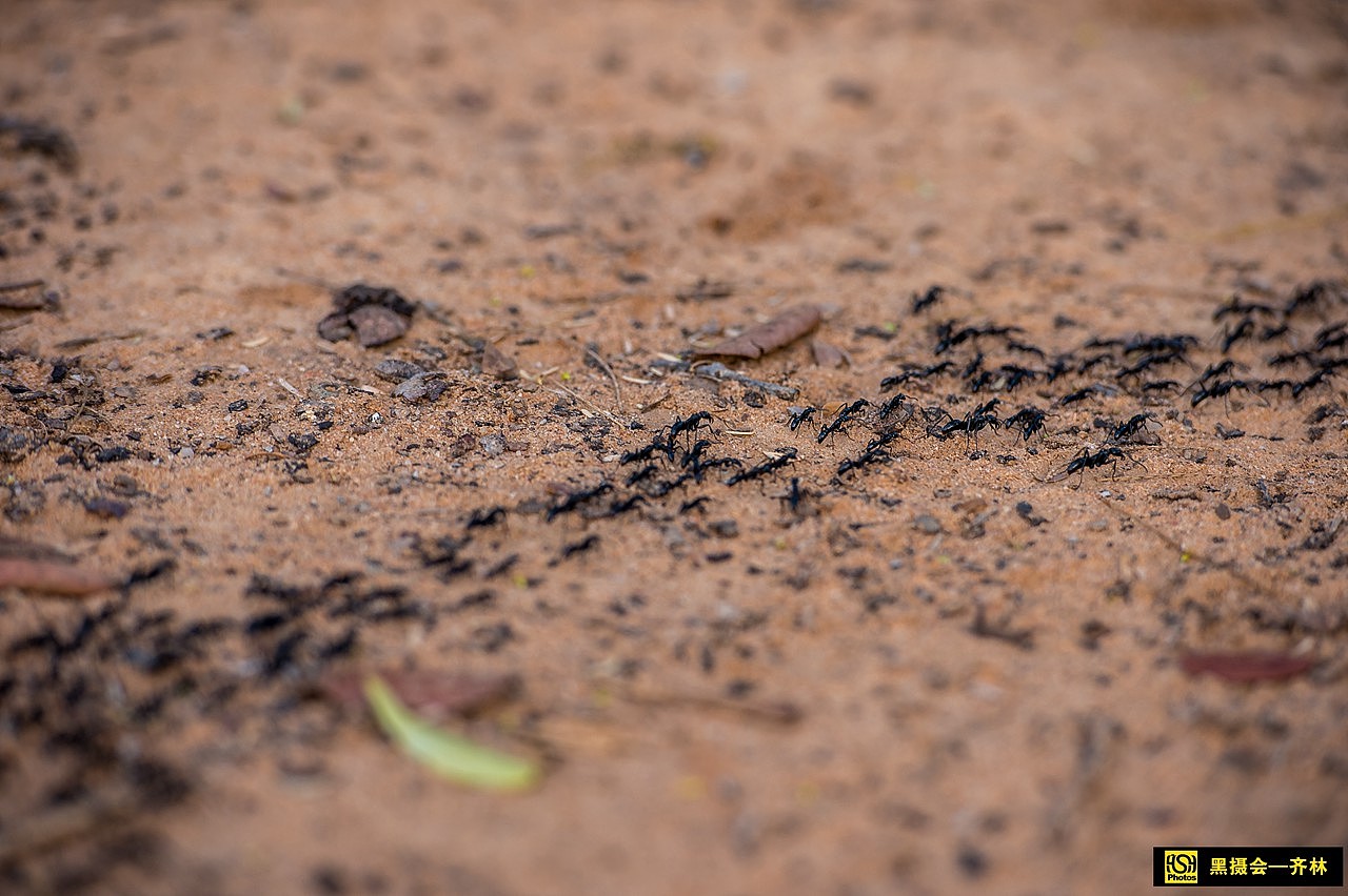 马林迪Hell's kitchen malindi