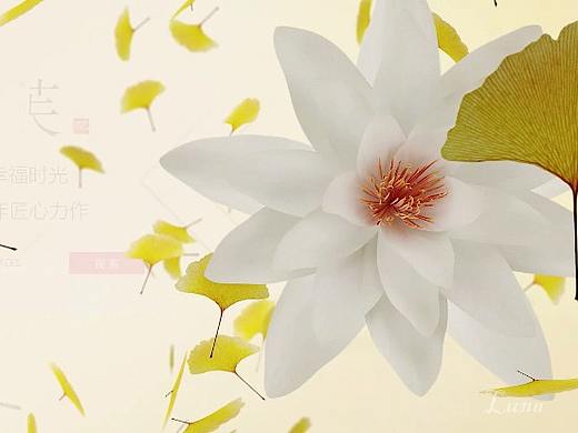 瓷砖产品视频（个人主页-ZMzM3NTY2Mjg=） - 其他三维 - 站酷设计师lorna_na原创素材 - 站酷ZCOOL