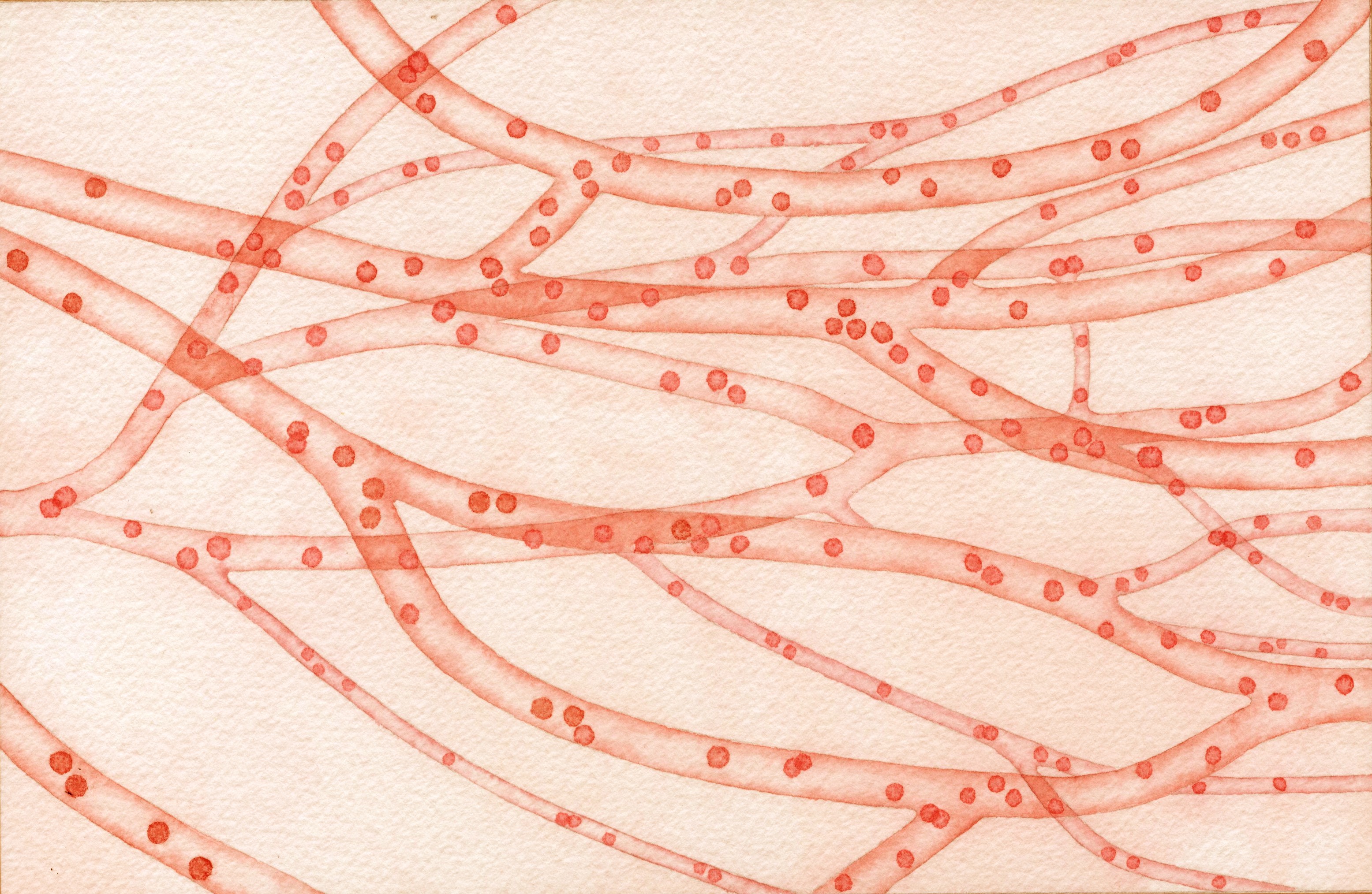 青藤秋葉的個(gè)人主頁（封面預(yù)覽） - 主頁封面設(shè)置 - 站酷設(shè)計(jì)師青藤秋葉原創(chuàng)素材 - 站酷ZCOOL