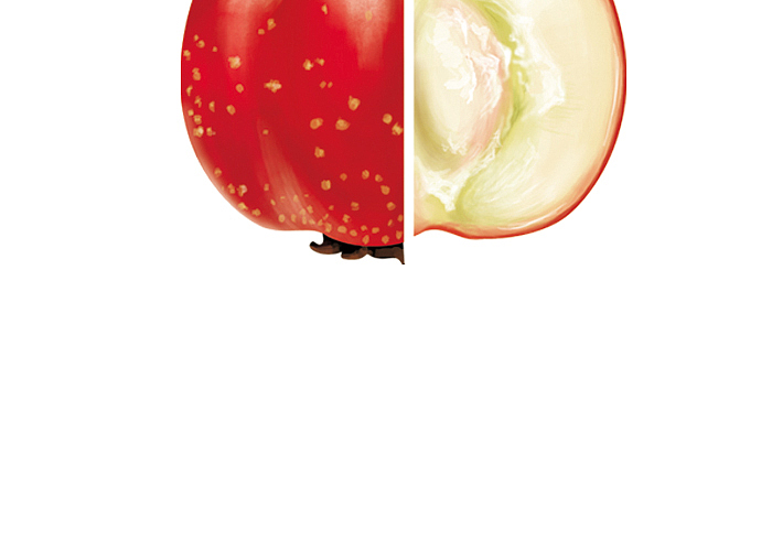 水果插畫(huà)--罐頭（圖ZMzI0NTc5NjA=） - 商業(yè)插畫(huà) - 站酷設(shè)計(jì)師MiyaS彌雅原創(chuàng)素材 - 站酷ZCOOL