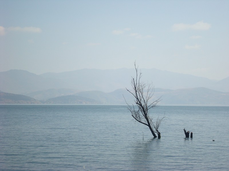 蘭蘭醬的個(gè)人主頁(yè)（背景預(yù)覽） - 主頁(yè)背景設(shè)置 - 站酷設(shè)計(jì)師蘭蘭醬原創(chuàng)素材 - 站酷ZCOOL