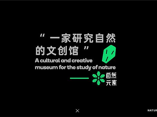 一家研究自然的文创馆