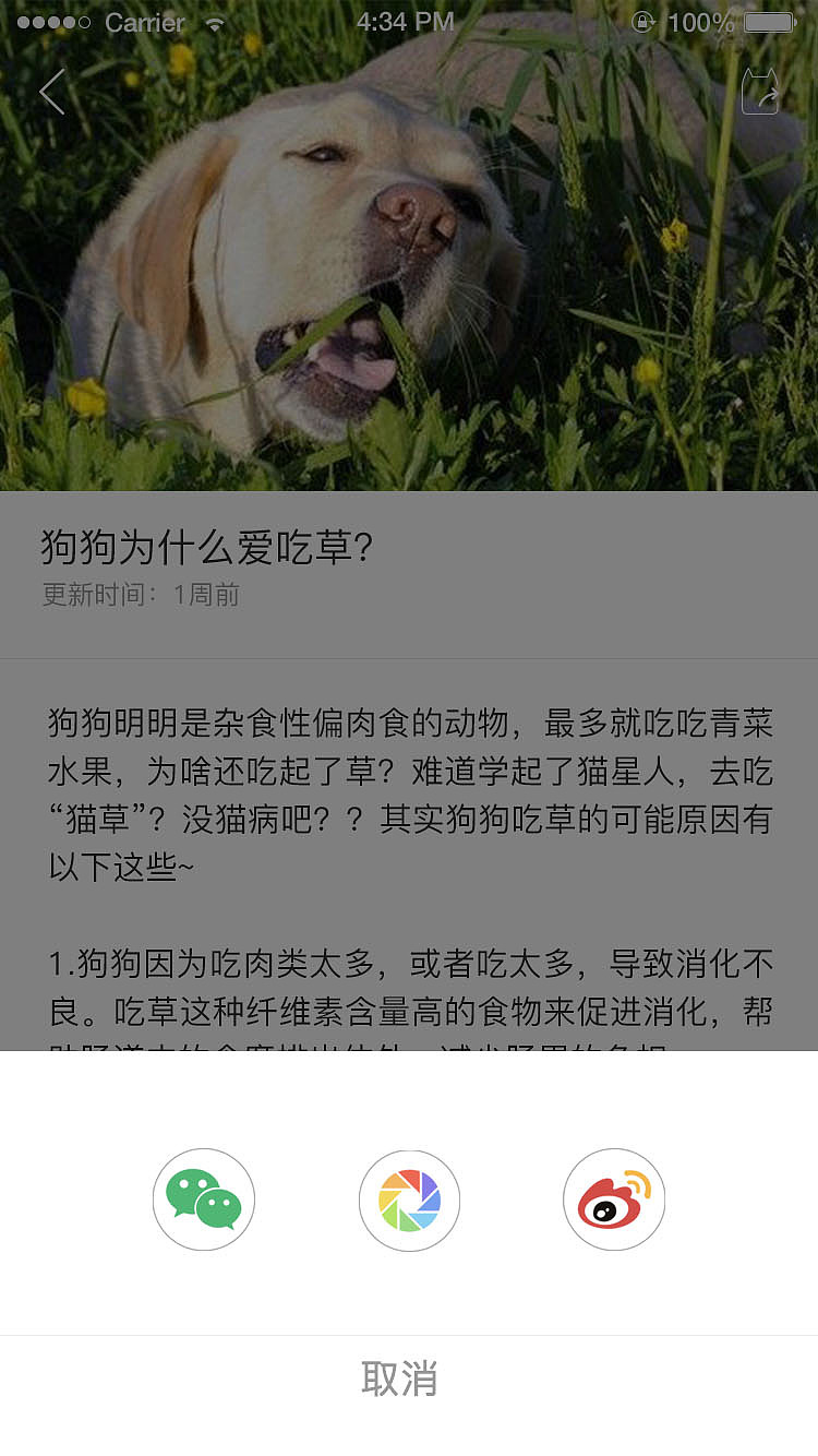 小宠无忧（图ZMTQxMjIzNjUy） - APP界面 - 站酷设计师Z88989928原创素材 - 站酷ZCOOL