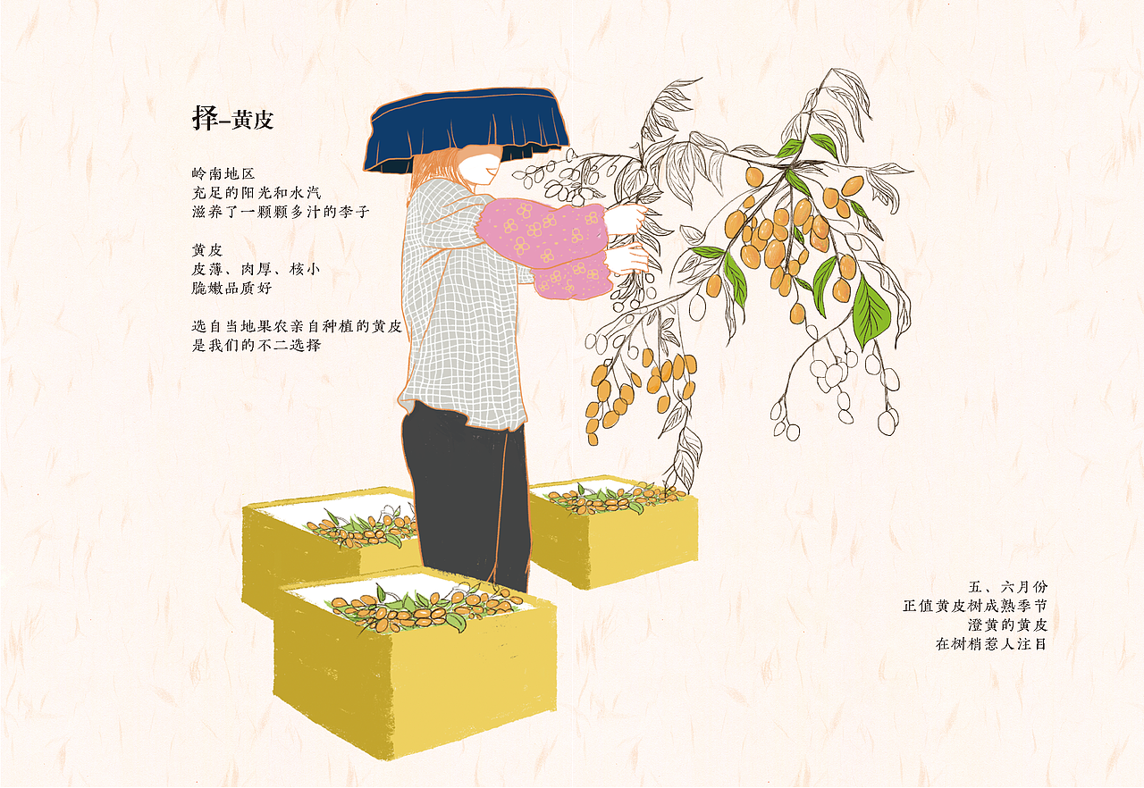 岭南凉果 如愿以尝（图ZMTc3OTc4MDY4） - 书籍/画册 - 站酷设计师梦露梦露露原创素材 - 站酷ZCOOL