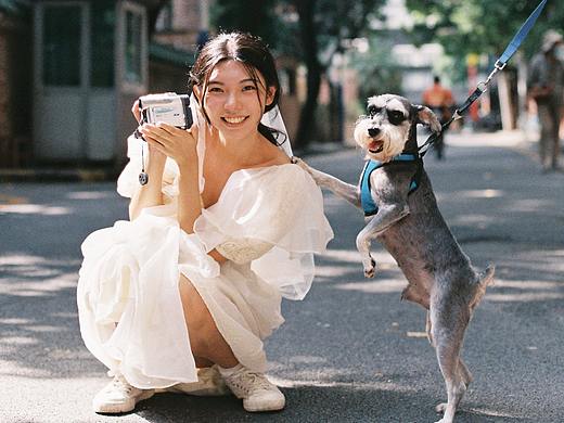 犬八