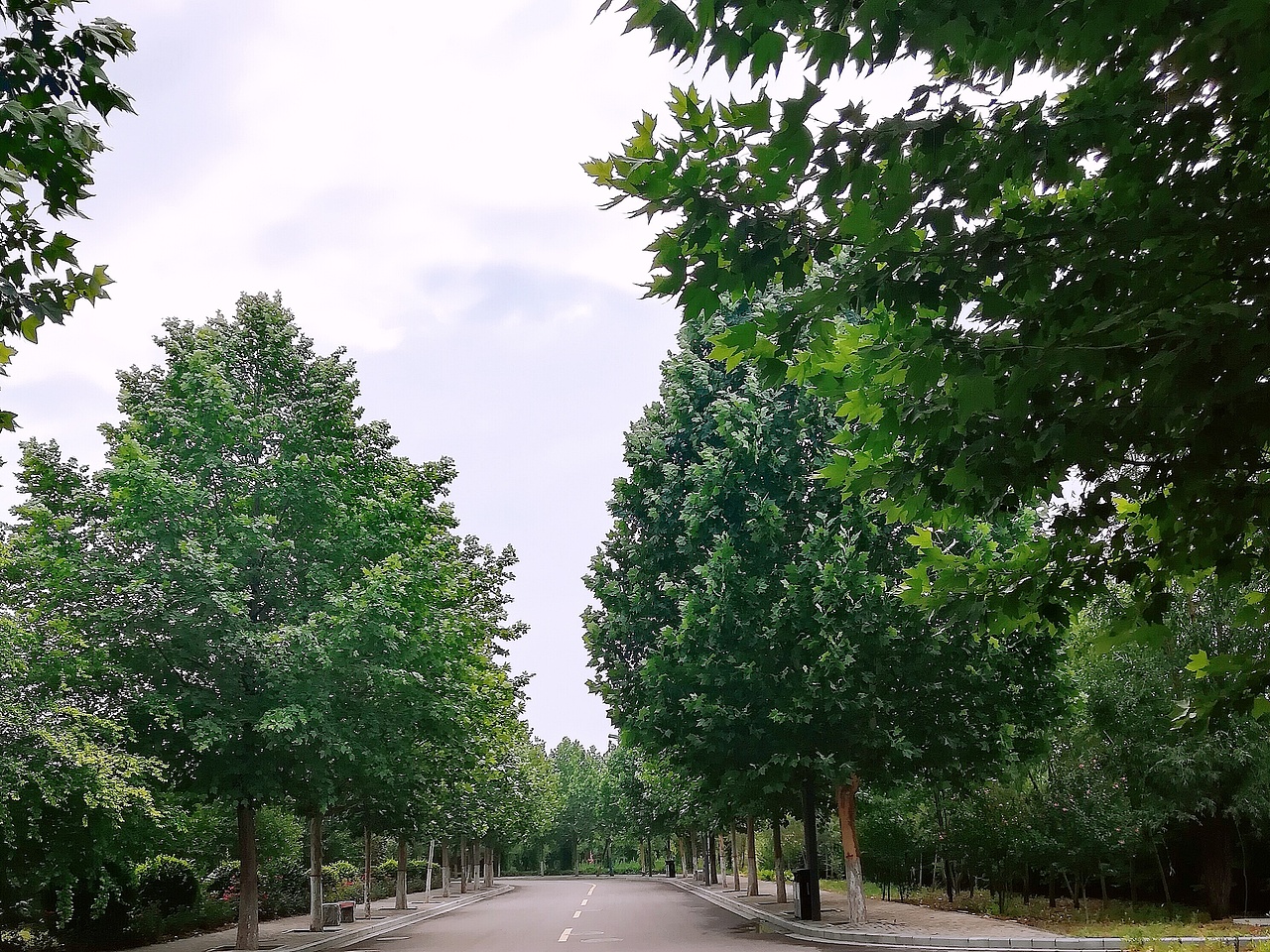 学院+舜帝陵（图ZMTk0NzQ4Nzky） - 风光摄影 - 站酷设计师小辣娜原创素材 - 站酷ZCOOL