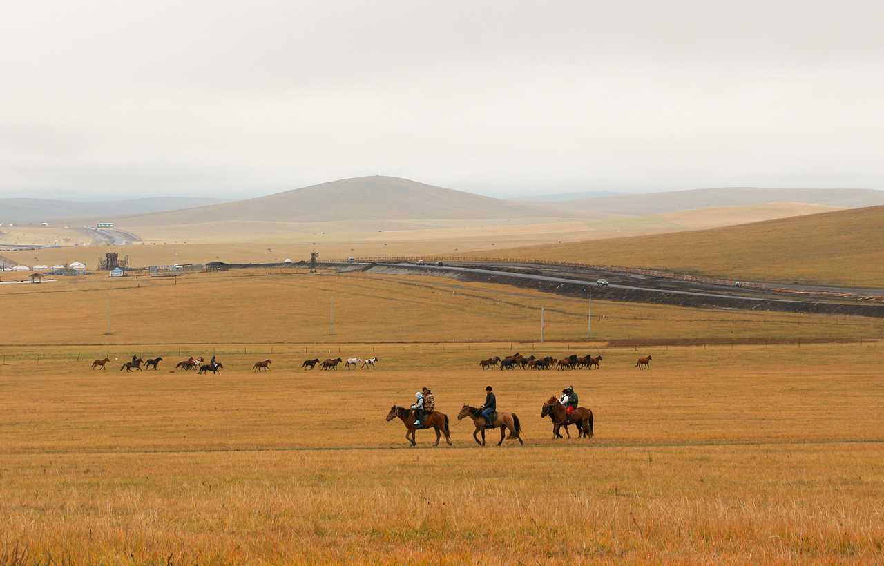 哈尔滨，呼伦贝尔，2020（图ZMzU5ODEyMDUy） - 风光摄影 - 站酷设计师程小灰啊原创素材 - 站酷ZCOOL