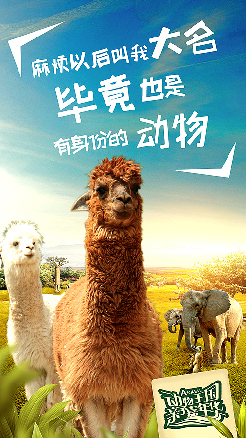 济南野生动物园的一组海报