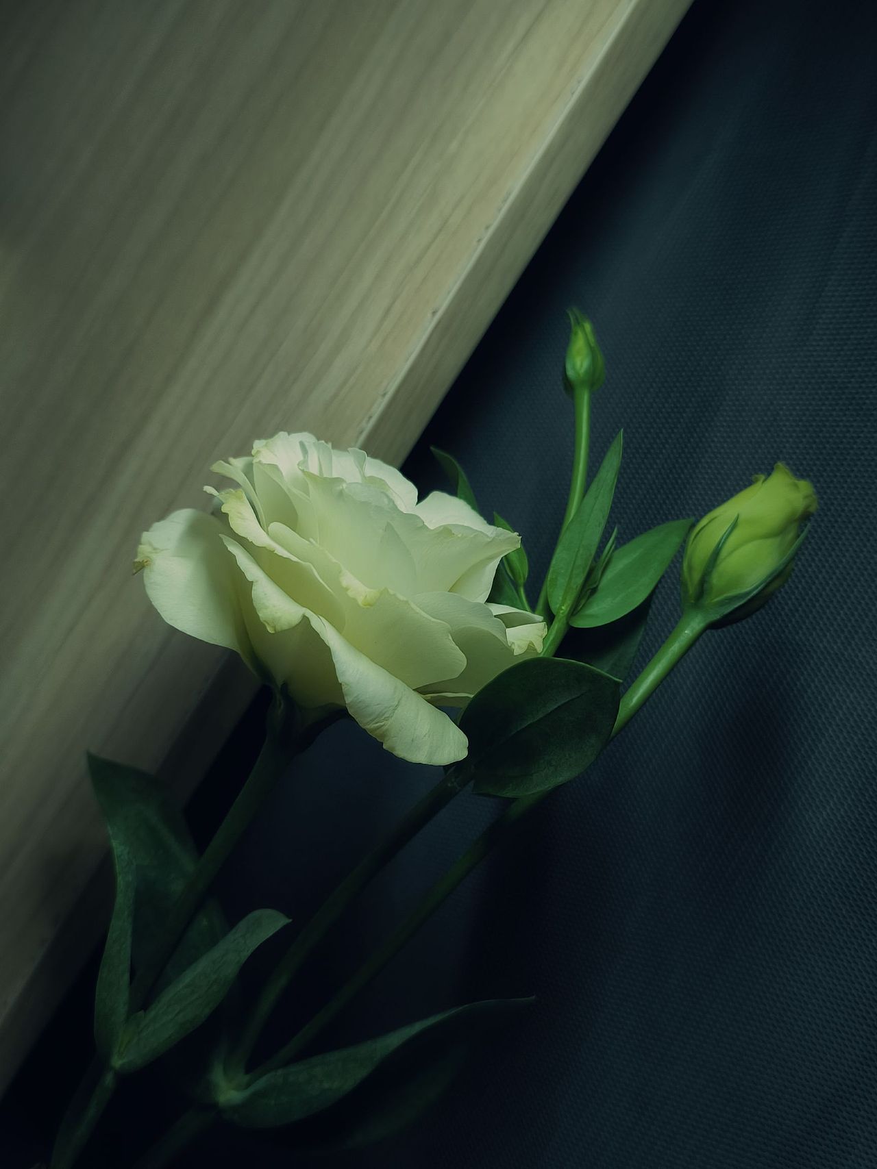 有些是摄影 有点是画