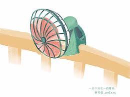 一又二分之一的夏天