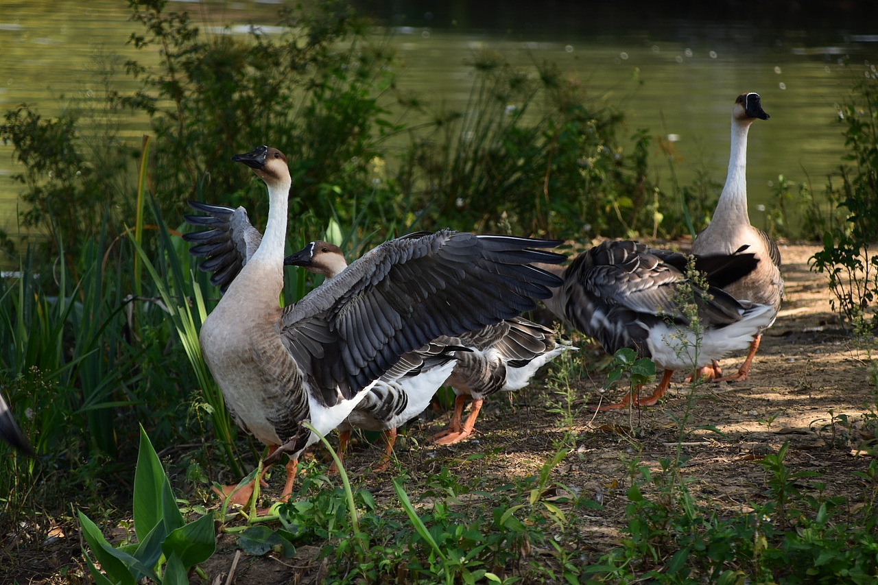 沈亂亂の寫生日記~🍃