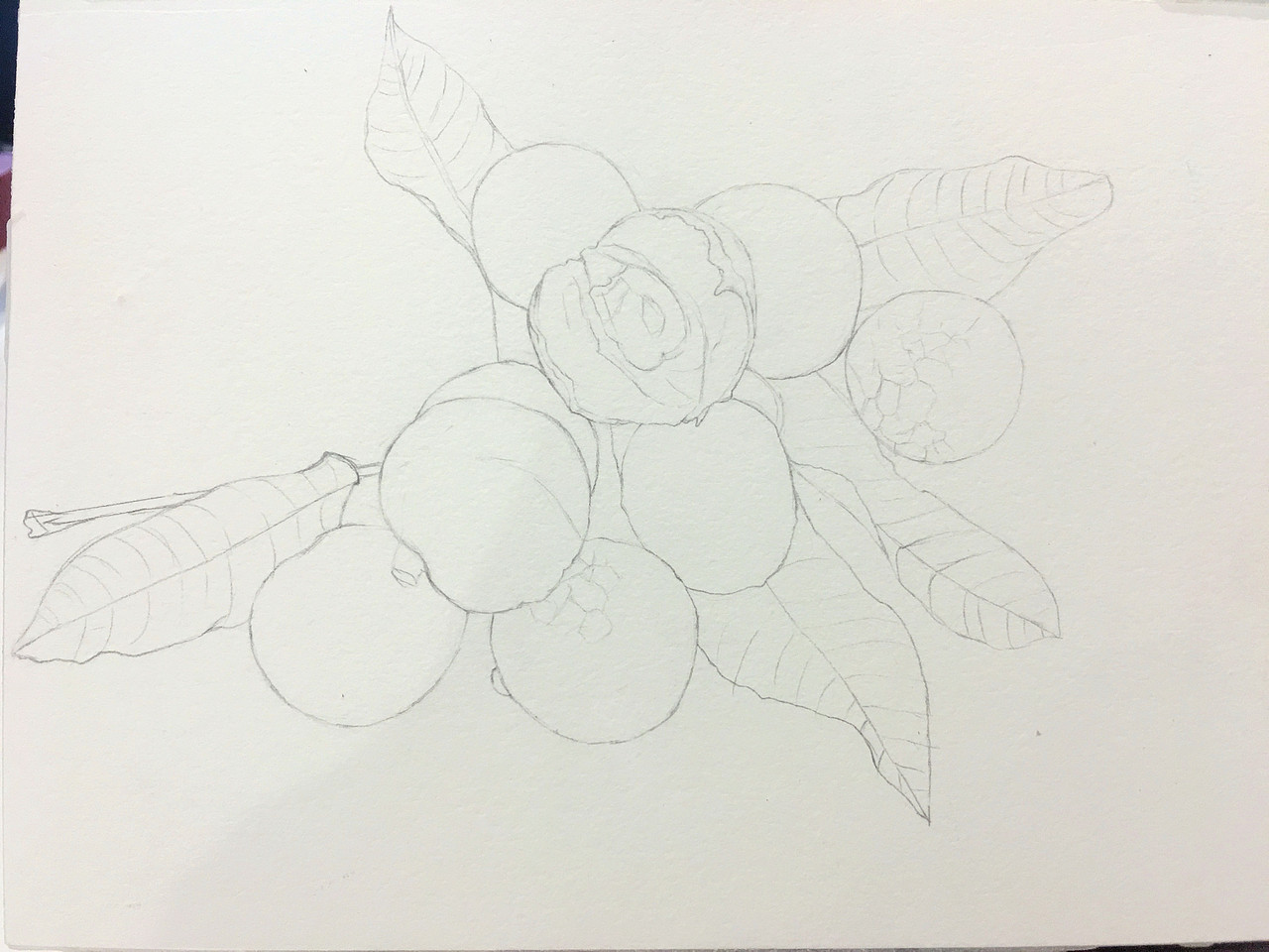 二十四节气---白露