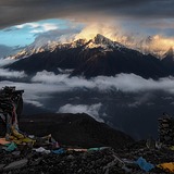 默zff的头像