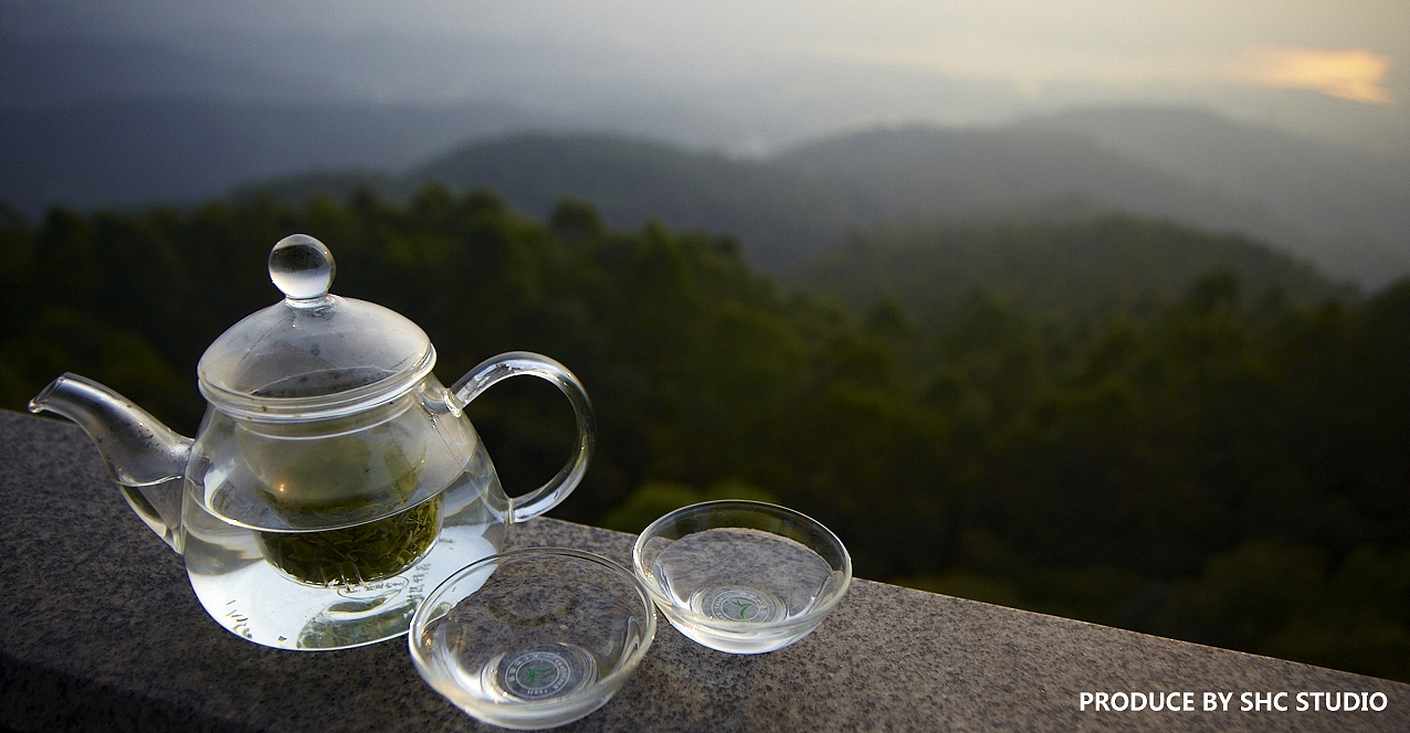 每次出去外拍总会有额外的收获