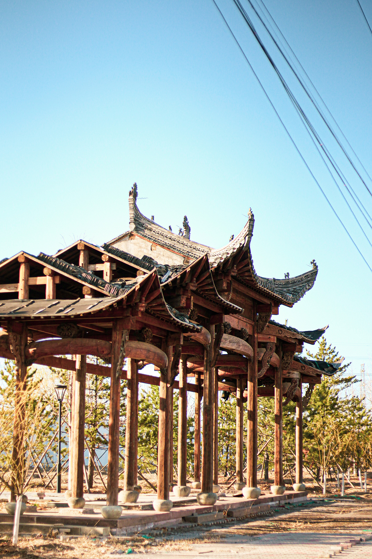 阳光彩虹小白马