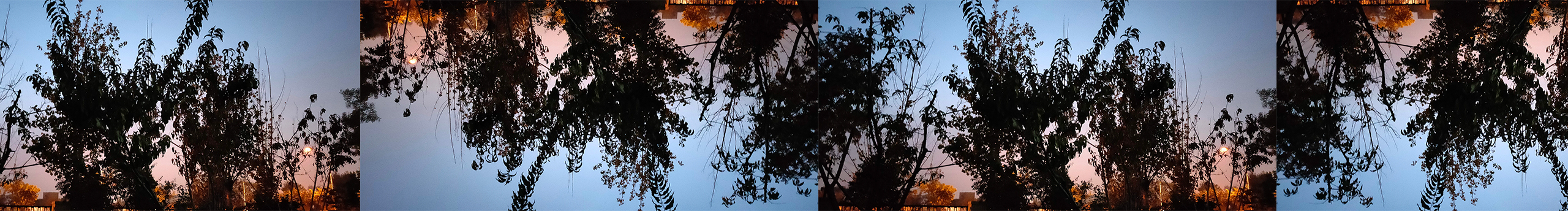 嗣囍肉丸子的個(gè)人主頁(yè)（封面預(yù)覽） - 主頁(yè)封面設(shè)置 - 站酷設(shè)計(jì)師嗣囍肉丸子原創(chuàng)素材 - 站酷ZCOOL