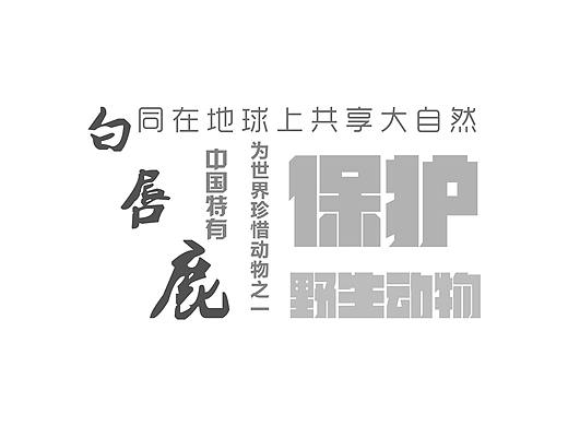 “白唇鹿”字體排版（個人主頁-ZMzAzODExNzY=） - 字體/字形 - 站酷設(shè)計師silence林軒原創(chuàng)素材 - 站酷ZCOOL