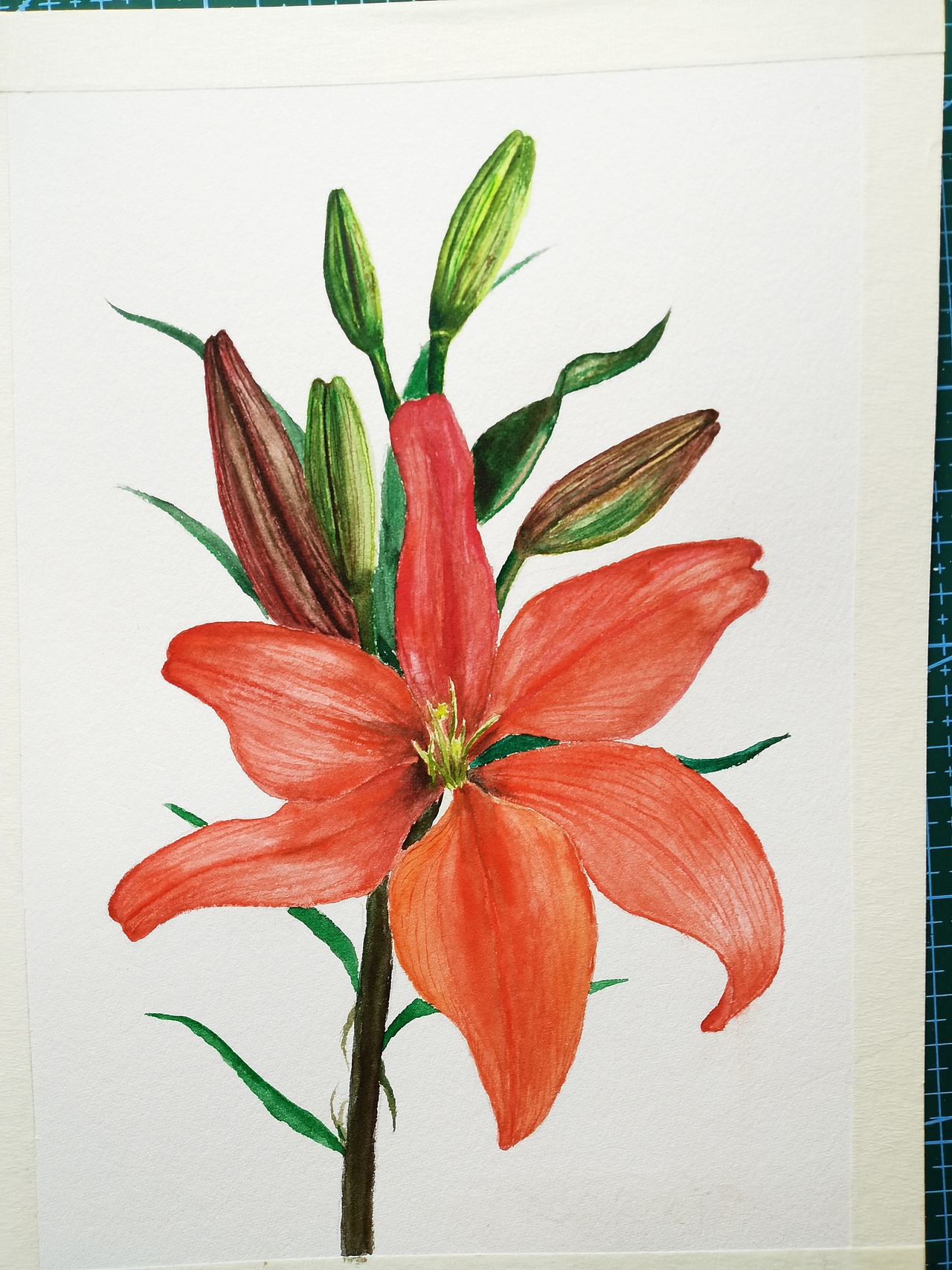 原创水彩花卉作品（图ZMjg3ODYwODY0） - 艺术插画 - 站酷设计师夏天的画原创素材 - 站酷ZCOOL