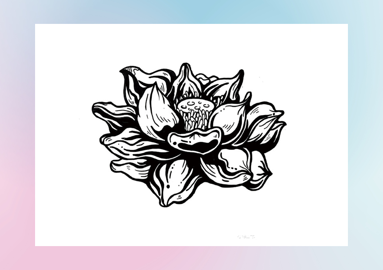 黑白装饰画考研-花卉类素材