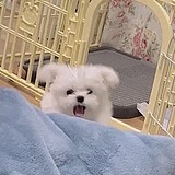 网迷的头像