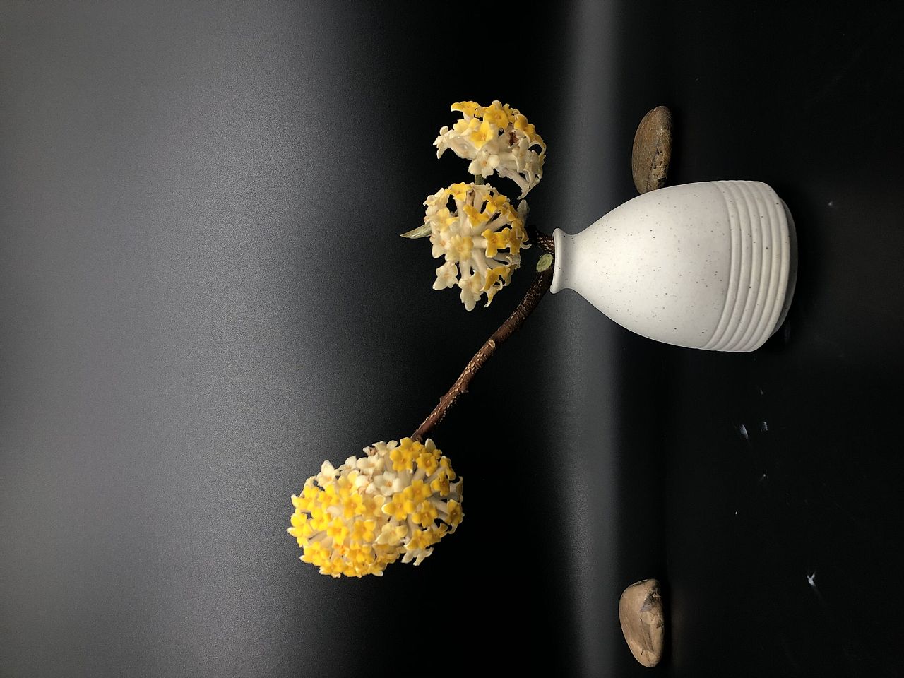 玲珑十小微花作品合集: