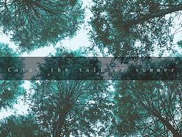 杂七杂八摄影集