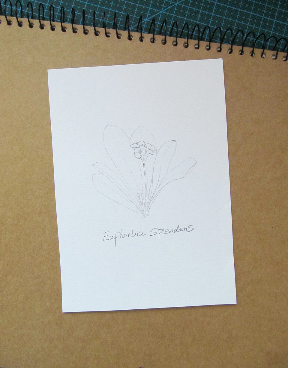 梦想de修行 系列之初起（图ZODA1OTYwMA==） - 绘画 - 站酷设计师自由的猞猁原创素材 - 站酷ZCOOL