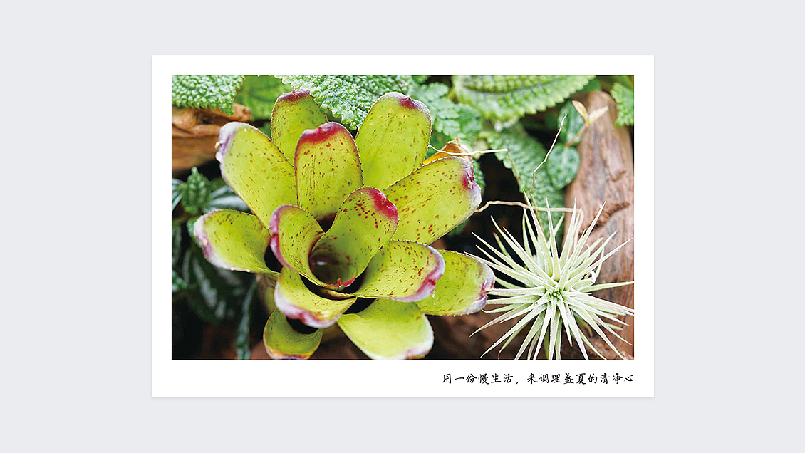 清筑自然 | 明信片 第一版（圖ZMTYwNTk4NDQ4） - 宣傳物料 - 站酷設計師YAN_瑩兒原創(chuàng)素材 - 站酷ZCOOL