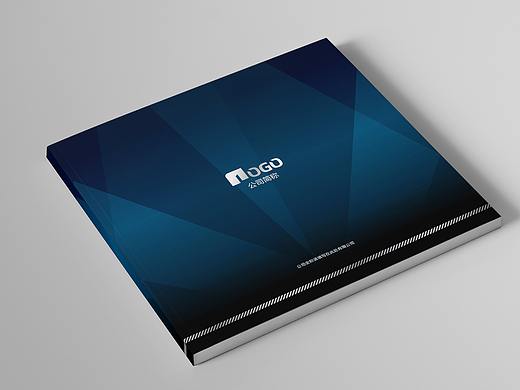 保安护卫企业公司深色画册