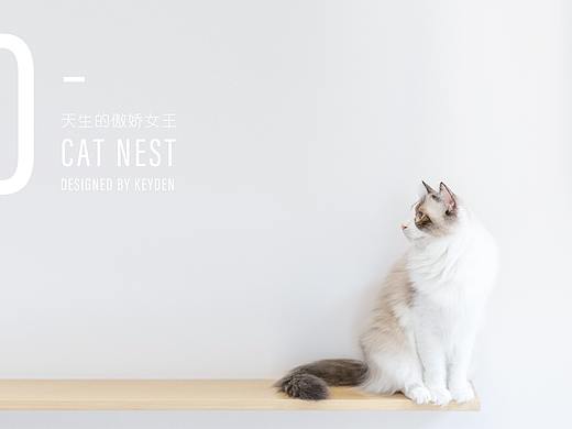 CAT NEST 猫窝设计