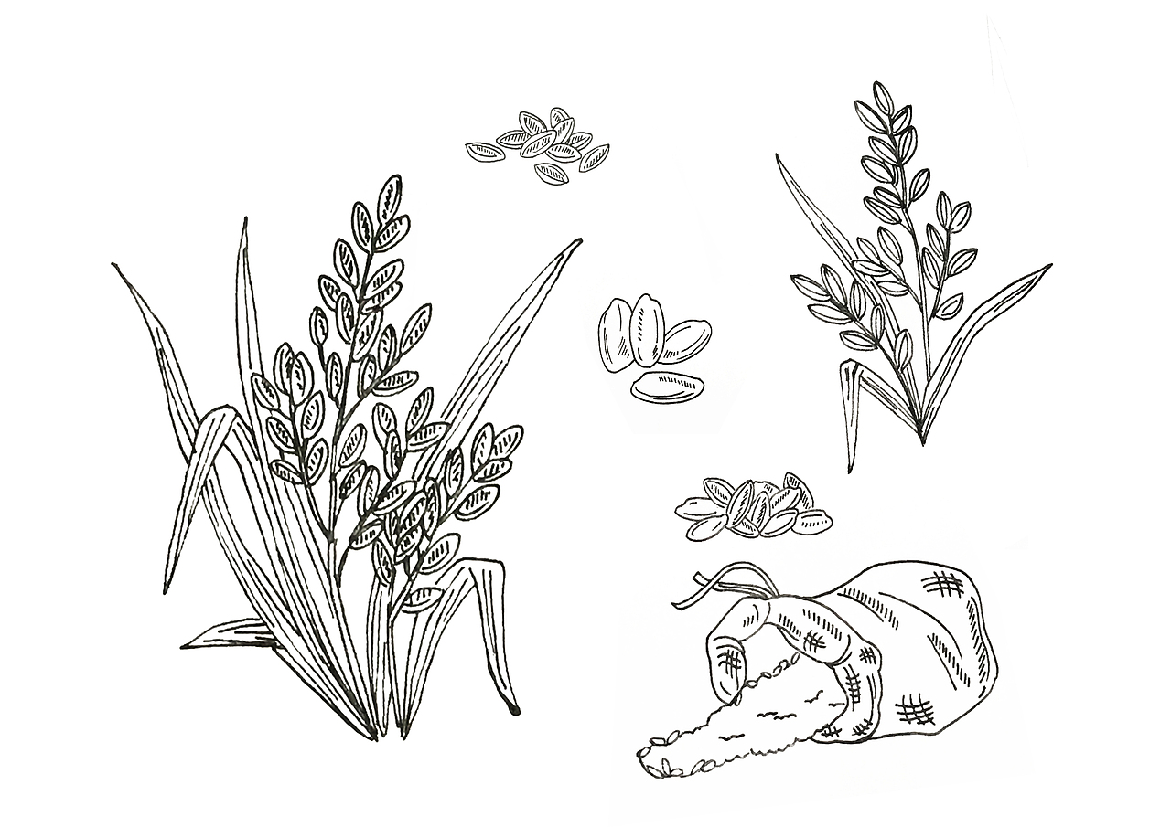 谷育霖产品包装图案元素（图ZNzk1MTM0NDg=） - 图案 - 站酷设计师mhanhan0911原创素材 - 站酷ZCOOL