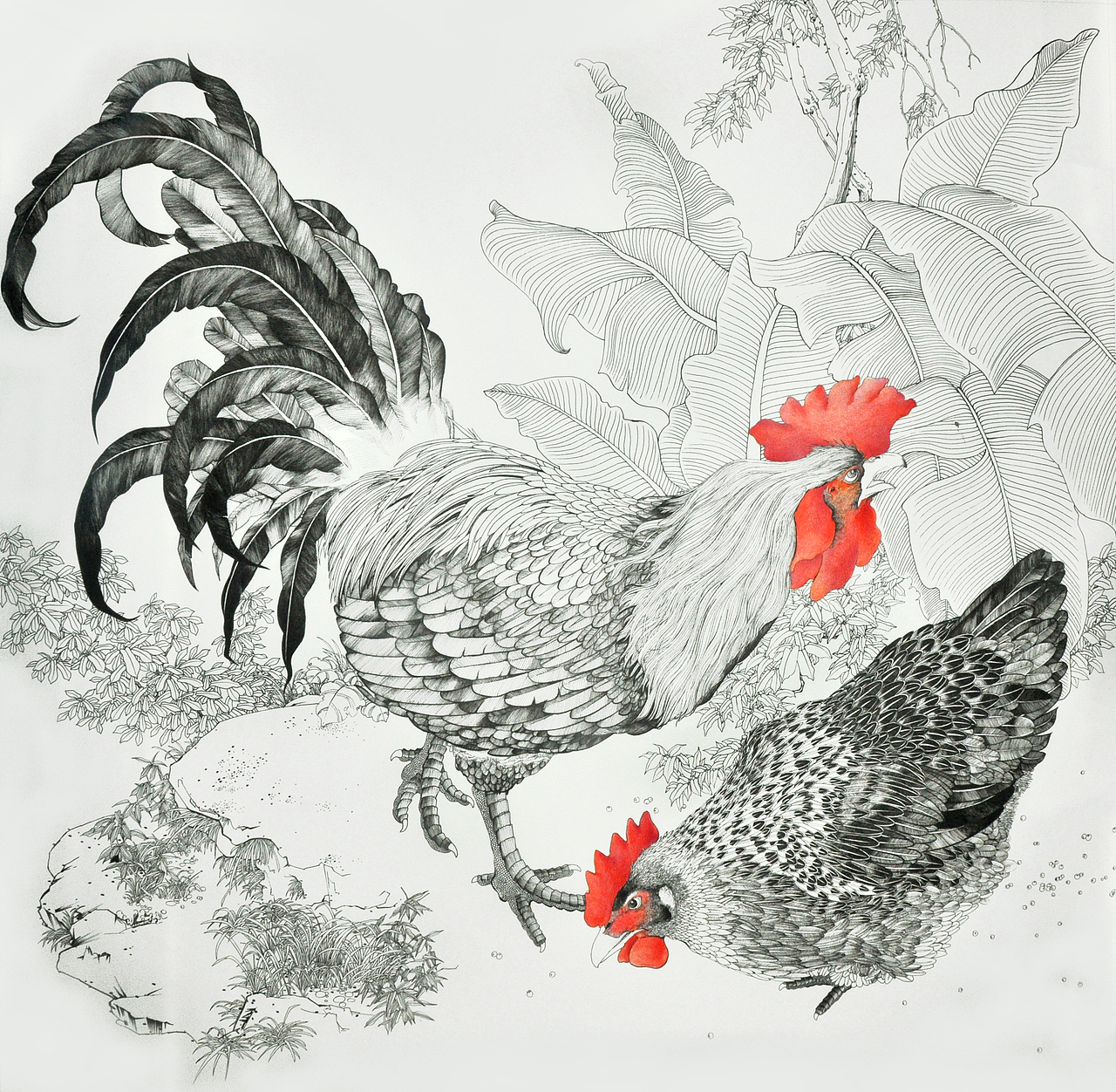 针管笔画——鸡