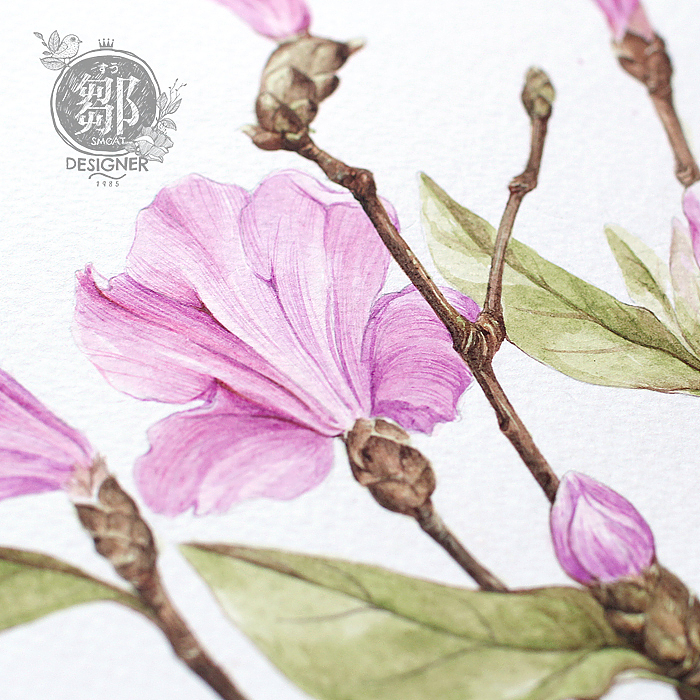 杜鹃花系列——华丽杜鹃（图ZNzc5OTI4ODQ=） - 商业插画 - 站酷设计师鄒慶原创素材 - 站酷ZCOOL