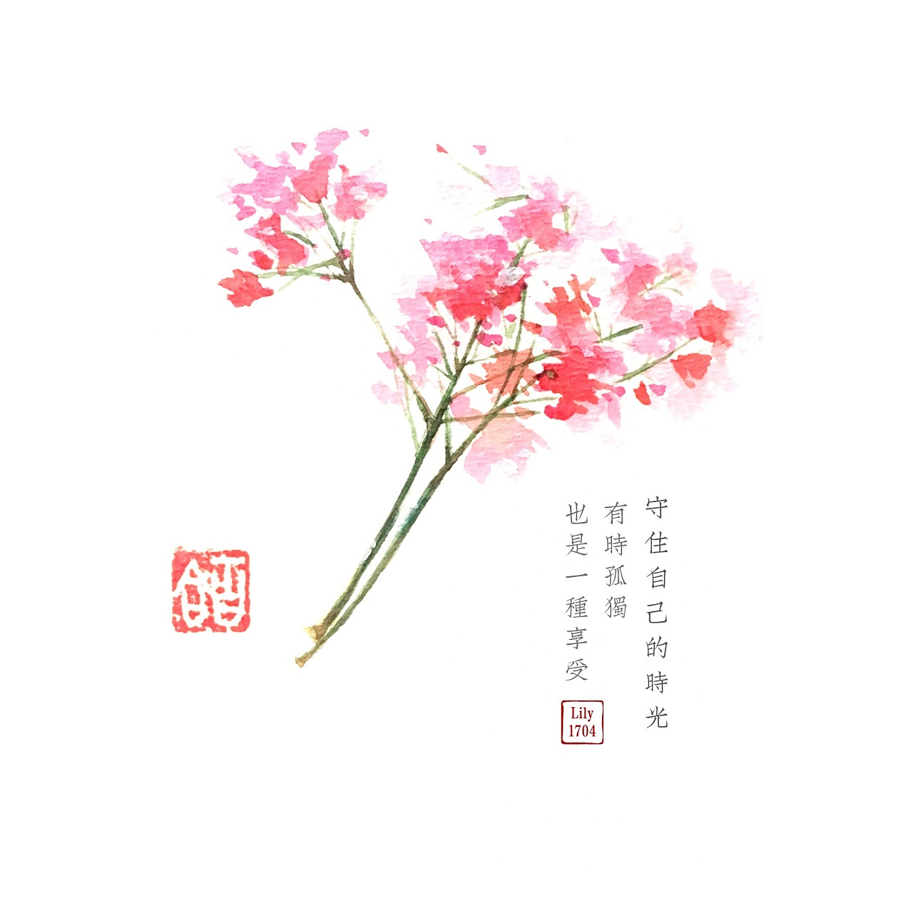 干花-满天星