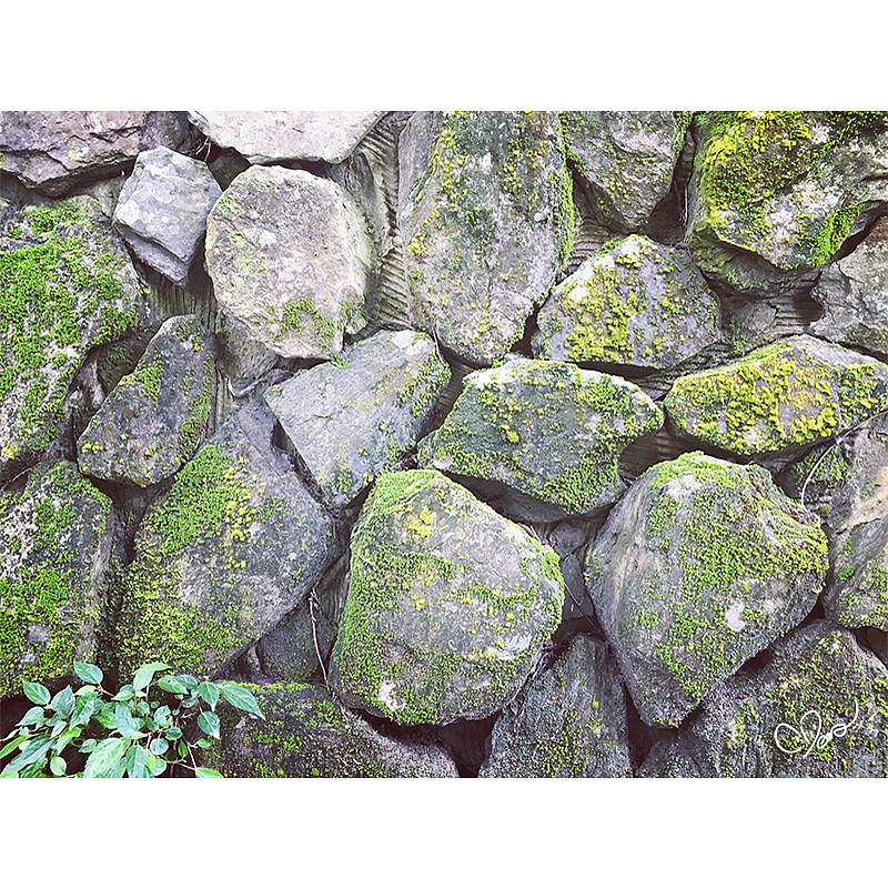 游记 | 我在台北の十天（图ZODI3NzUzNDg=） - 艺术插画 - 站酷设计师家纹CD原创素材 - 站酷ZCOOL