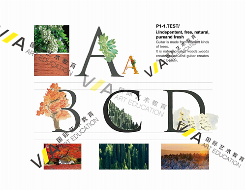 VA艺术留学平面设计作品集