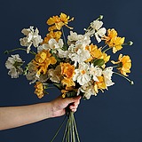 livetai花花世界的头像