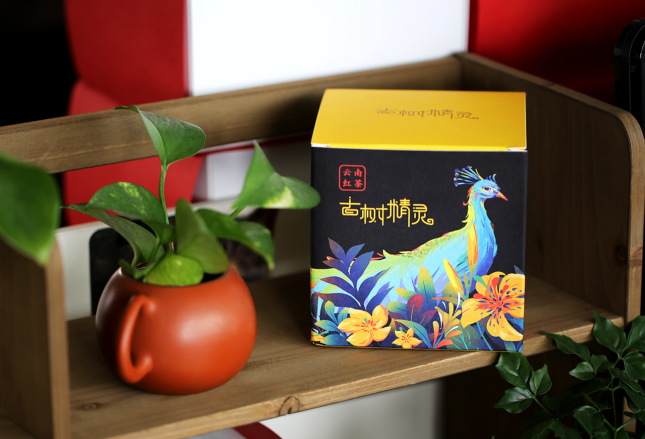 为三联生活周刊画的茶叶包装插画《古树精灵》