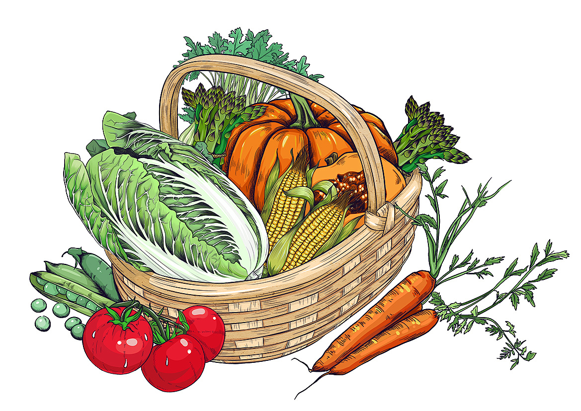 蔬菜|插画|商业插画|art陈小仙女 - 原创作品 - 站酷 (zcool)