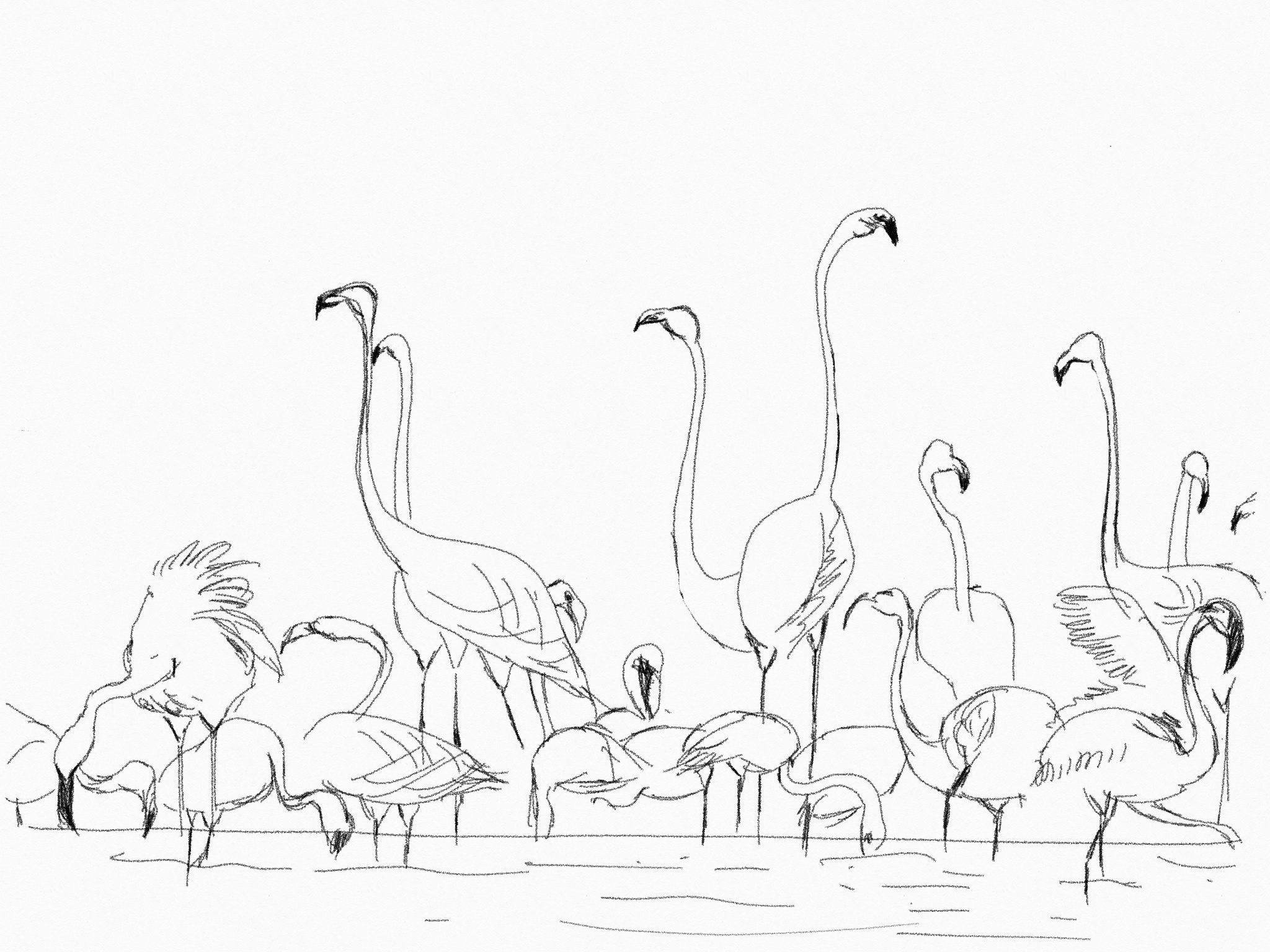 手绘选集2 线条|插画|其他插画|橘下鱼oooof - 临摹作品 - 站酷