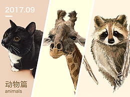 一波動(dòng)物手繪+繪畫(huà)過(guò)程動(dòng)圖