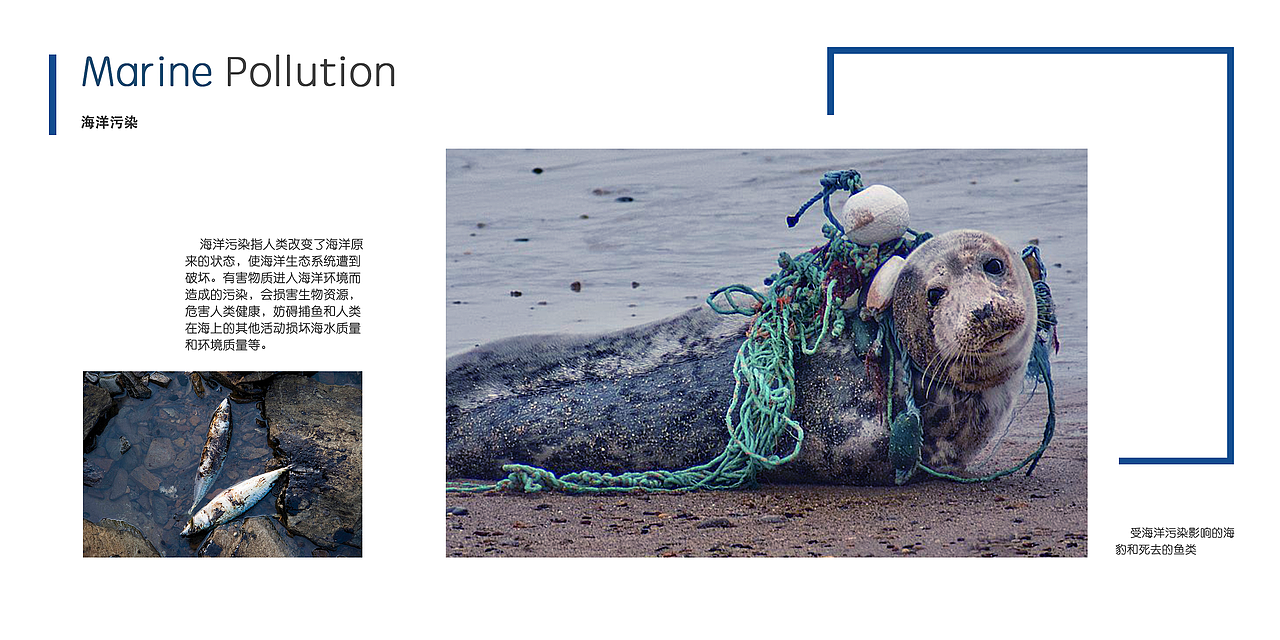 海洋保护宣传册（图ZODc0MzUwODQ=） - 书籍/画册 - 站酷设计师猫神咕咕原创素材 - 站酷ZCOOL