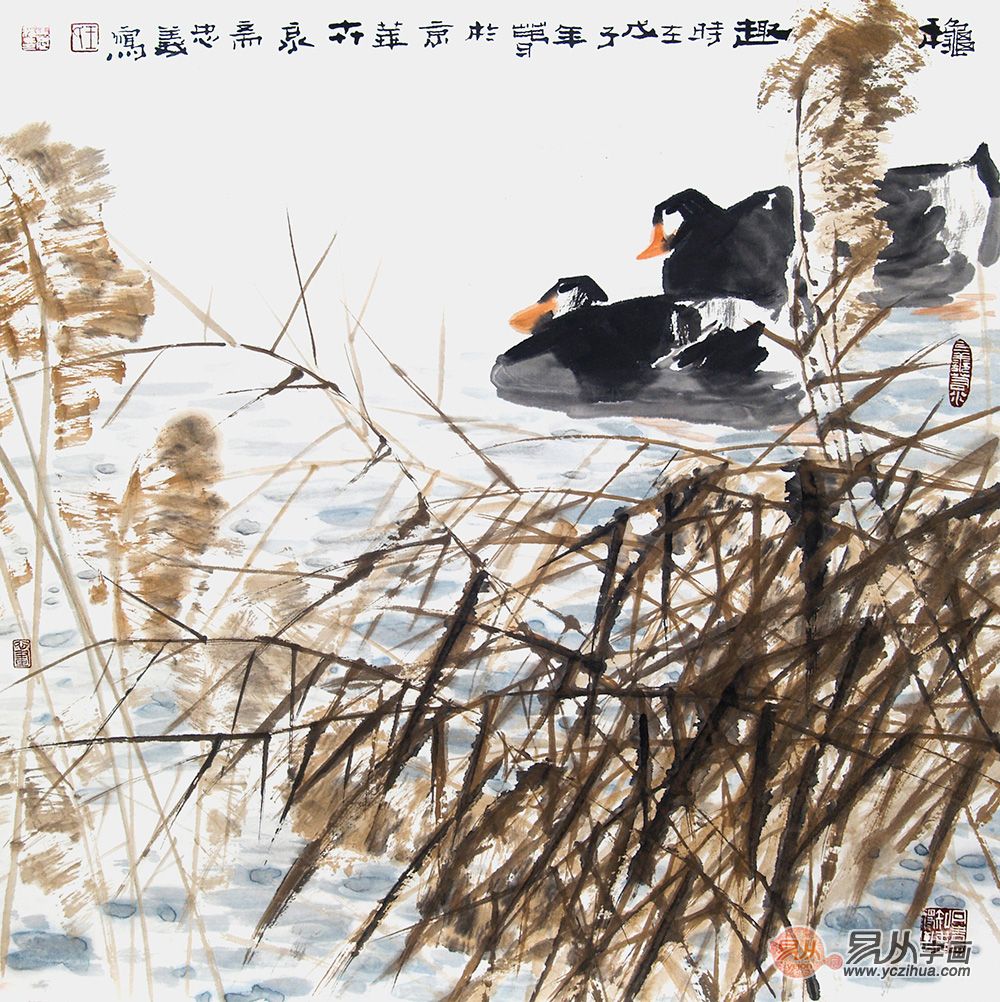 国画写意花鸟画 中美协王忠义笔下生万物