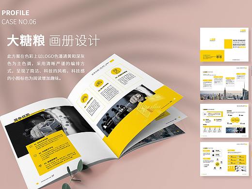 一些画册设计 宣传册 企业画册