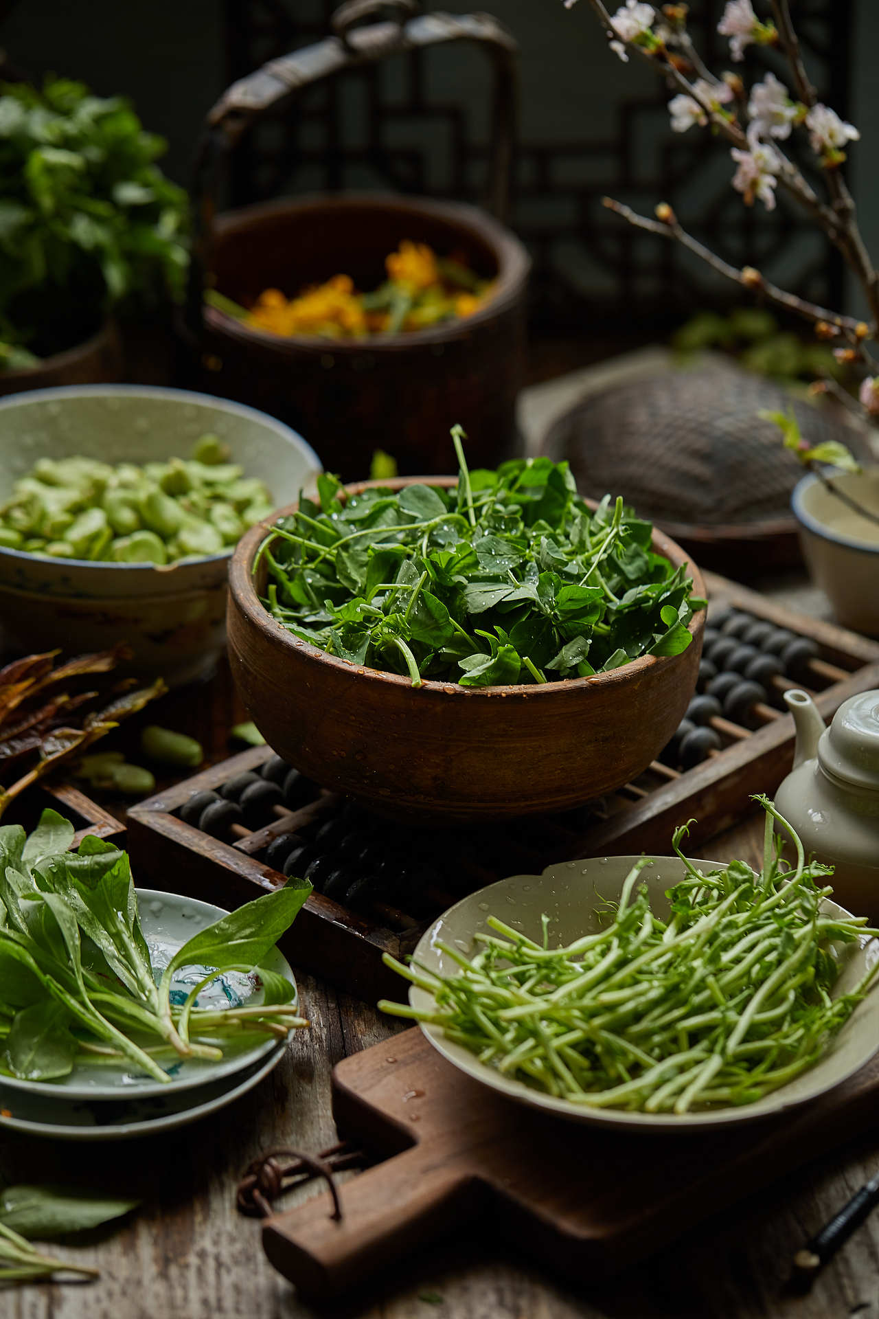野菜——春季篇