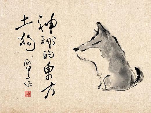 《神秘的东方土狗》