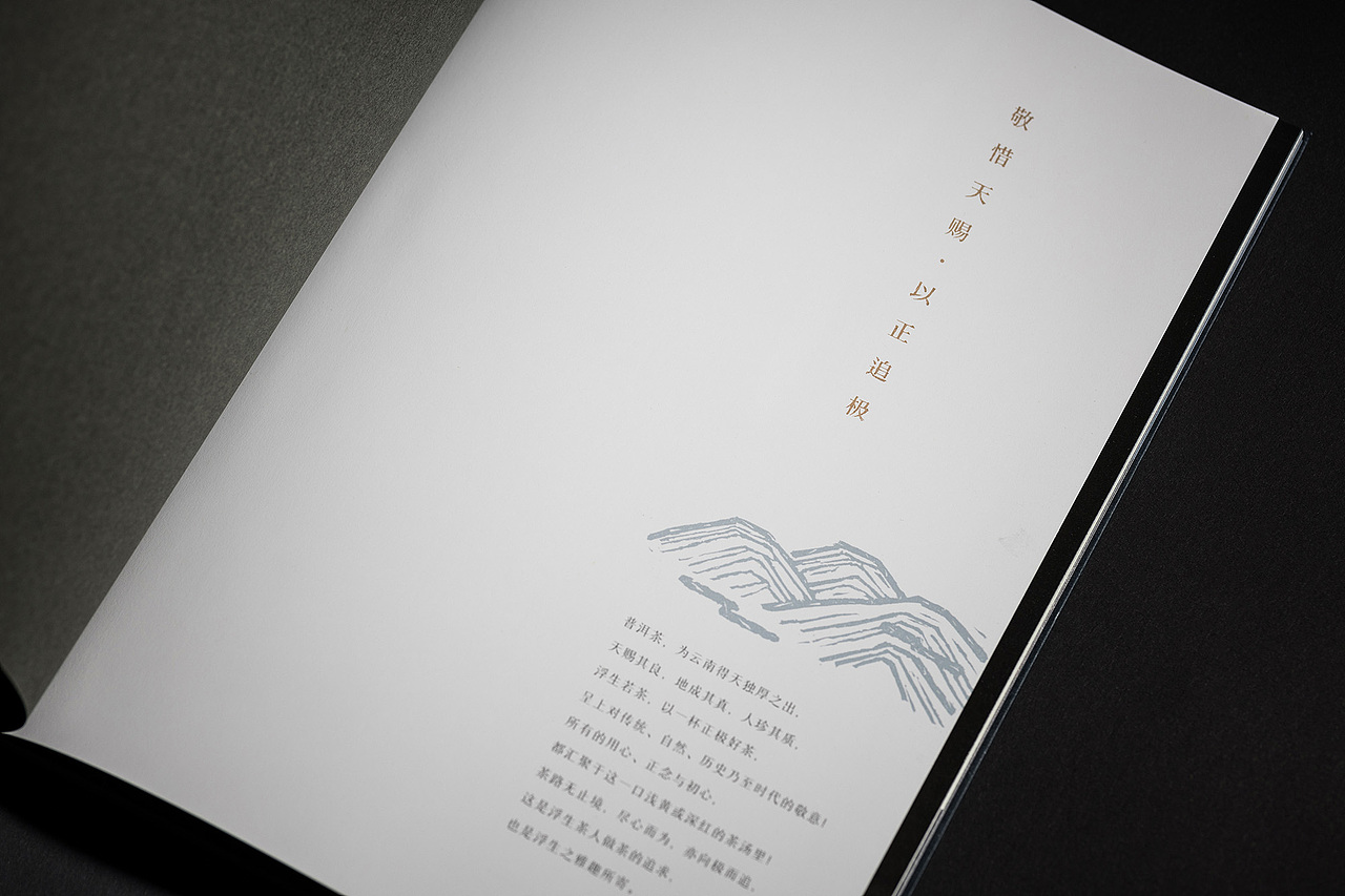 茶叶品牌画册（成品）（图ZMjc1NDg0MDQ4） - 书籍/画册 - 站酷设计师竣阳视界原创素材 - 站酷ZCOOL