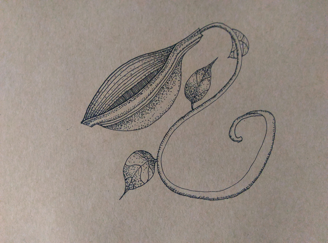 《此--流--深--伍》是对生活状态一种挖掘,通过多样的印象,使得笔与纸之间的痕迹无所追踪。