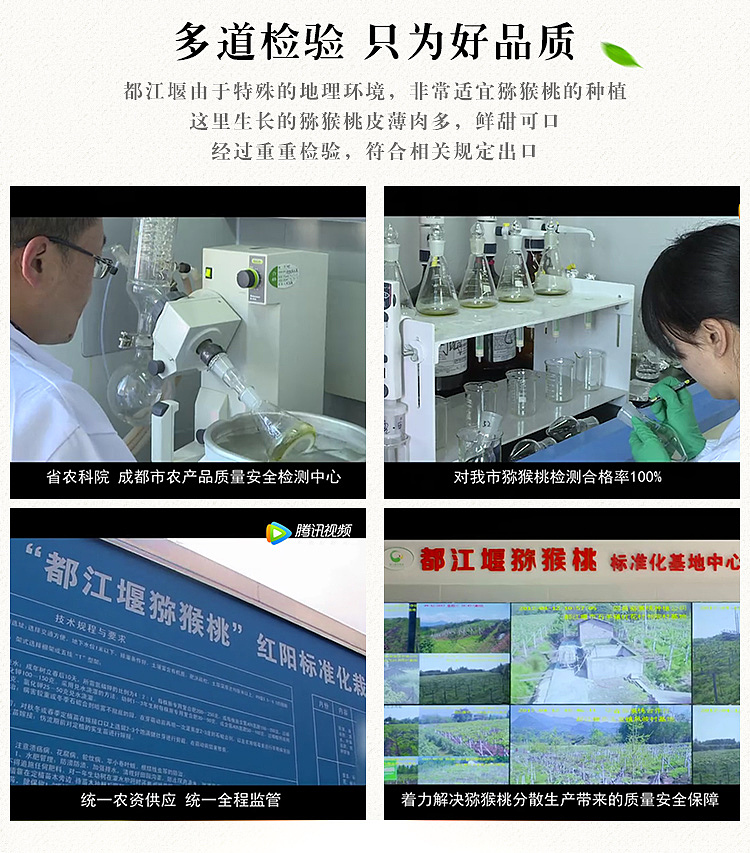 都江堰红心猕猴桃详情页